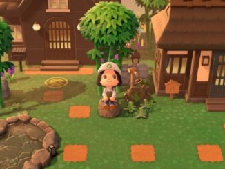 Animal Crossing, Tatcha imagine Tatchaland pour le jeu video