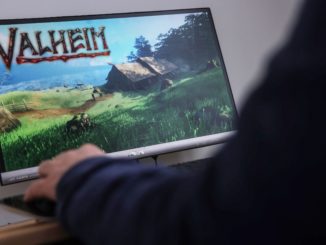 Valheim, nouveau jeu video avec des Vikings sur Steam