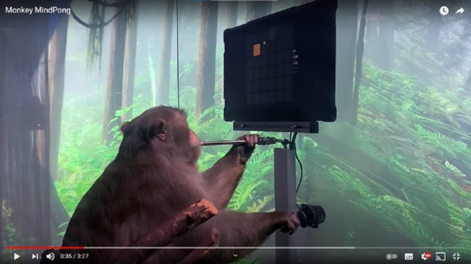 singe Neuralink, la societe americaine et sa technologie qui implique le jeu video