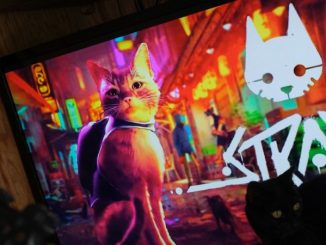 le chat de gouttière du jeu vidéo stray vu à l'écran