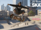 Illustration du jeu vidéo skate.