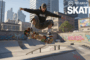 Illustration du jeu vidéo skate.