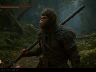 personnage principal de Black Myth Wukong