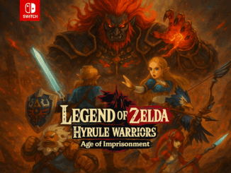 Affiche du jeu Legend of Zelda : Hyrule Warriors