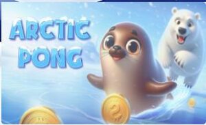 Affiche du jeu Arctic Pong