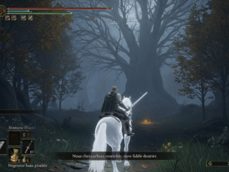 Gameplay d’un jeu similiaire à Elden Ring Nightreign
