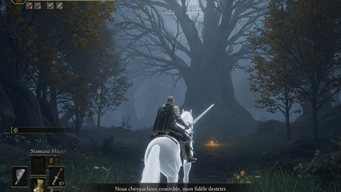 Gameplay d’un jeu similiaire à Elden Ring Nightreign