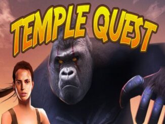 Affiche du jeu mobile Temple Quest