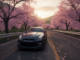 Gameplay d’un jeu similaire à Forza Horizon 6