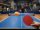 Gameplay d’un jeu similaire à Table Tennis World Tour